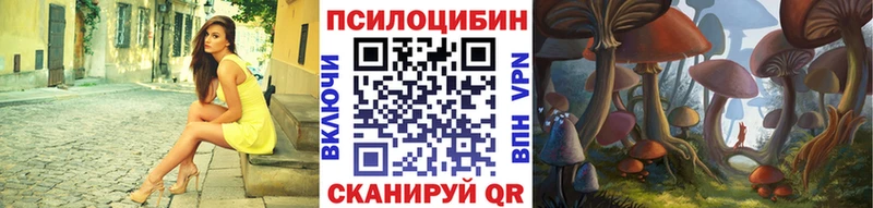 Галлюциногенные грибы Psilocybine cubensis  дарнет шоп  Кинель 